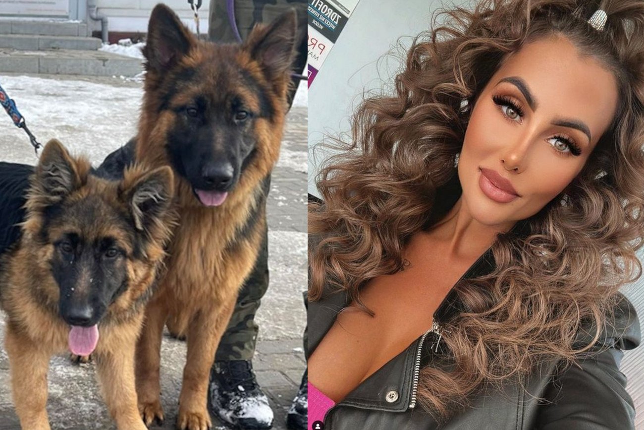 Aleksandra Szafrańska zabrała głos po wybuchu afery ws. oddania psów do schroniska.