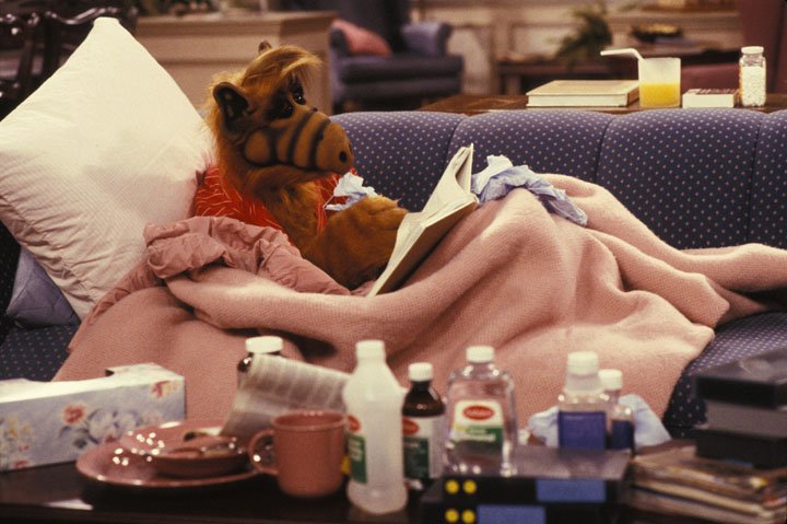 Premiery HBO Max: lipiec 2022 "Alf"