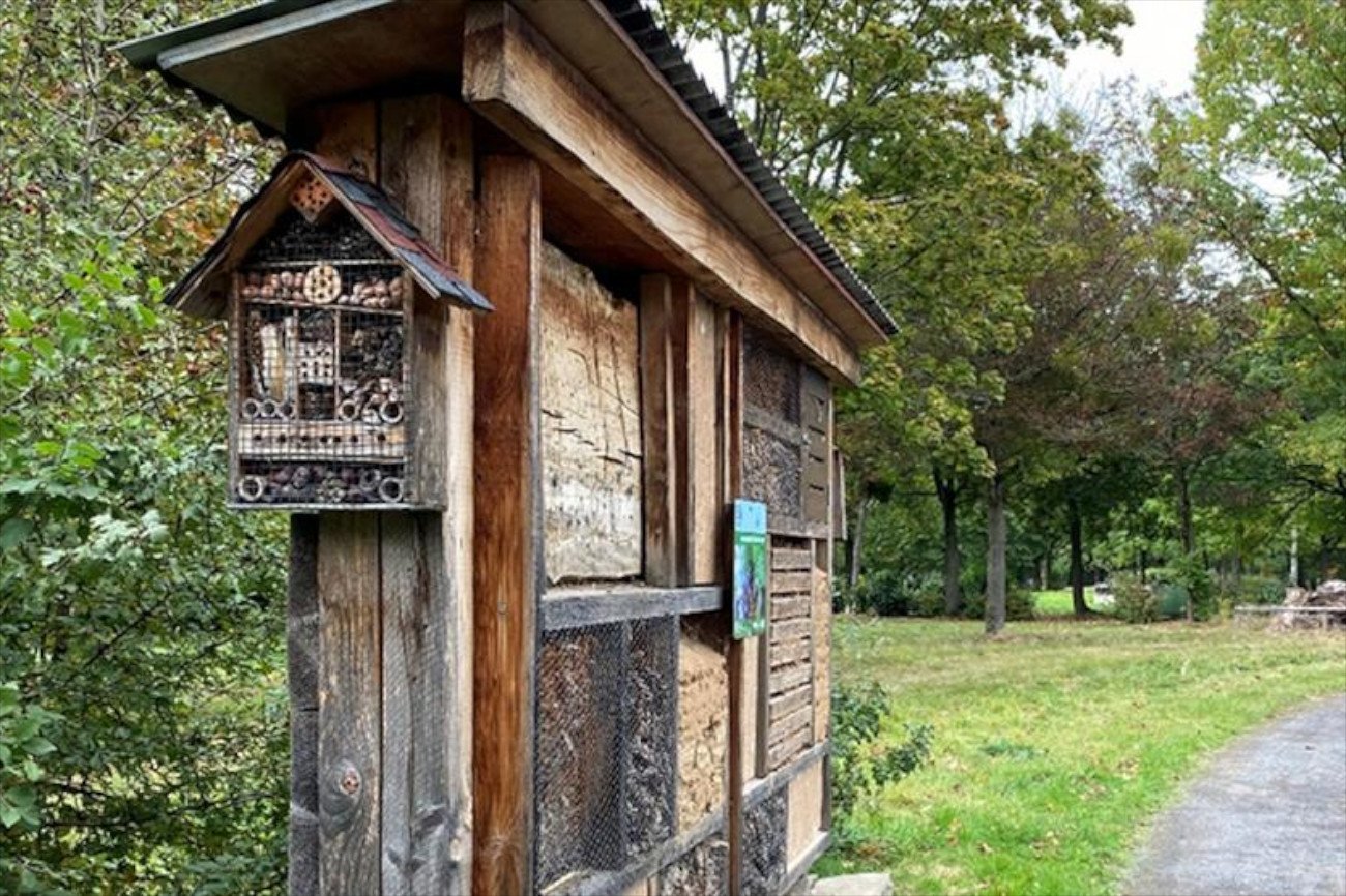 Niezwykły cmentarz w niemieckim Bonn. Hoteliki dla owadów, pasieka, biotop