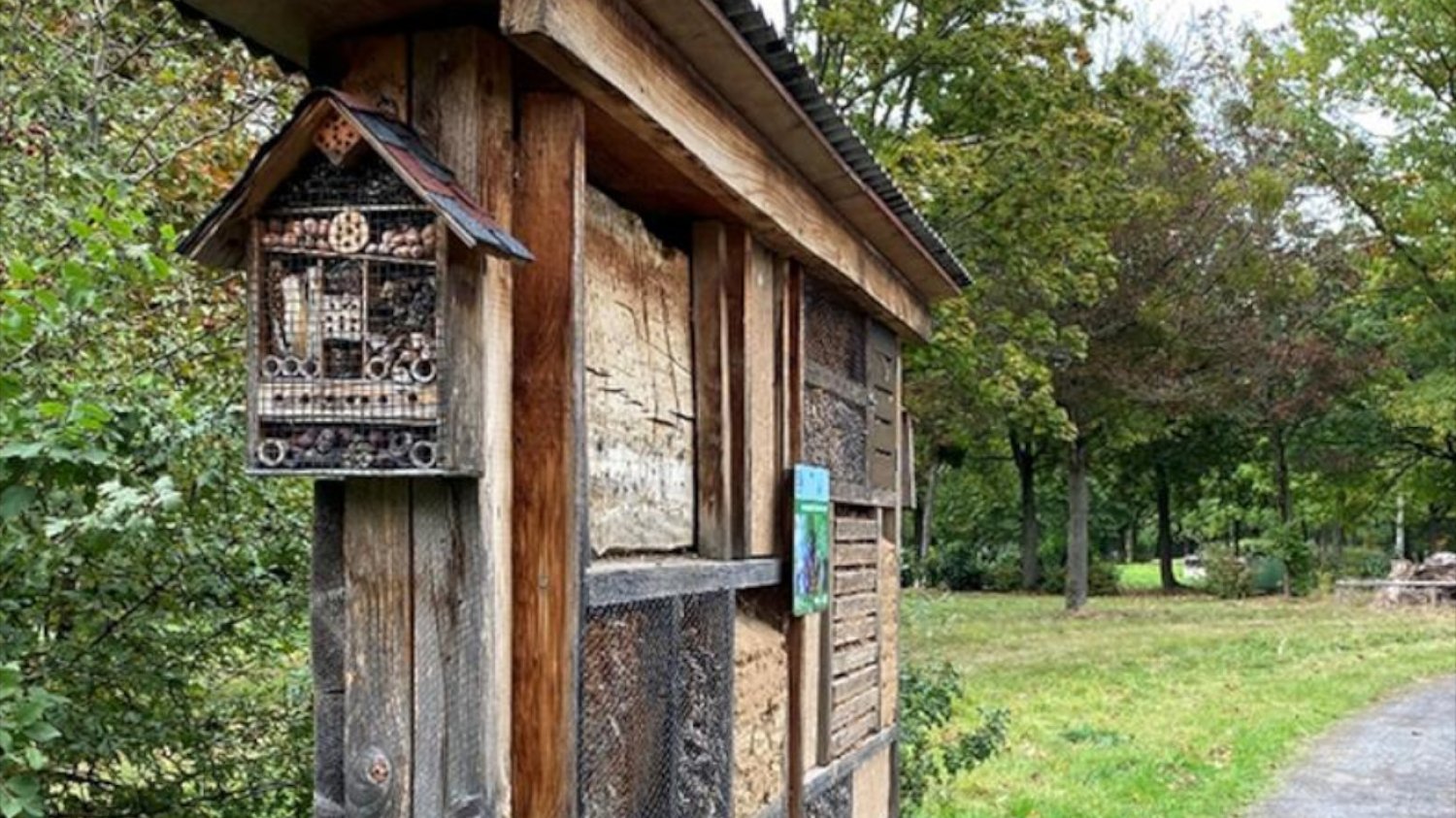 Niezwykły cmentarz w niemieckim Bonn. Hoteliki dla owadów, pasieka, biotop