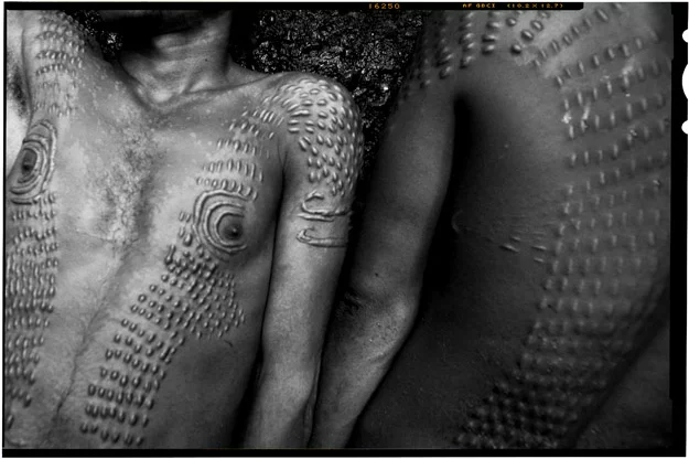 tzw. Crocodile Scarification, jedno z nielicznych zdjęć skaryfikacji, które nie jest drastyczne