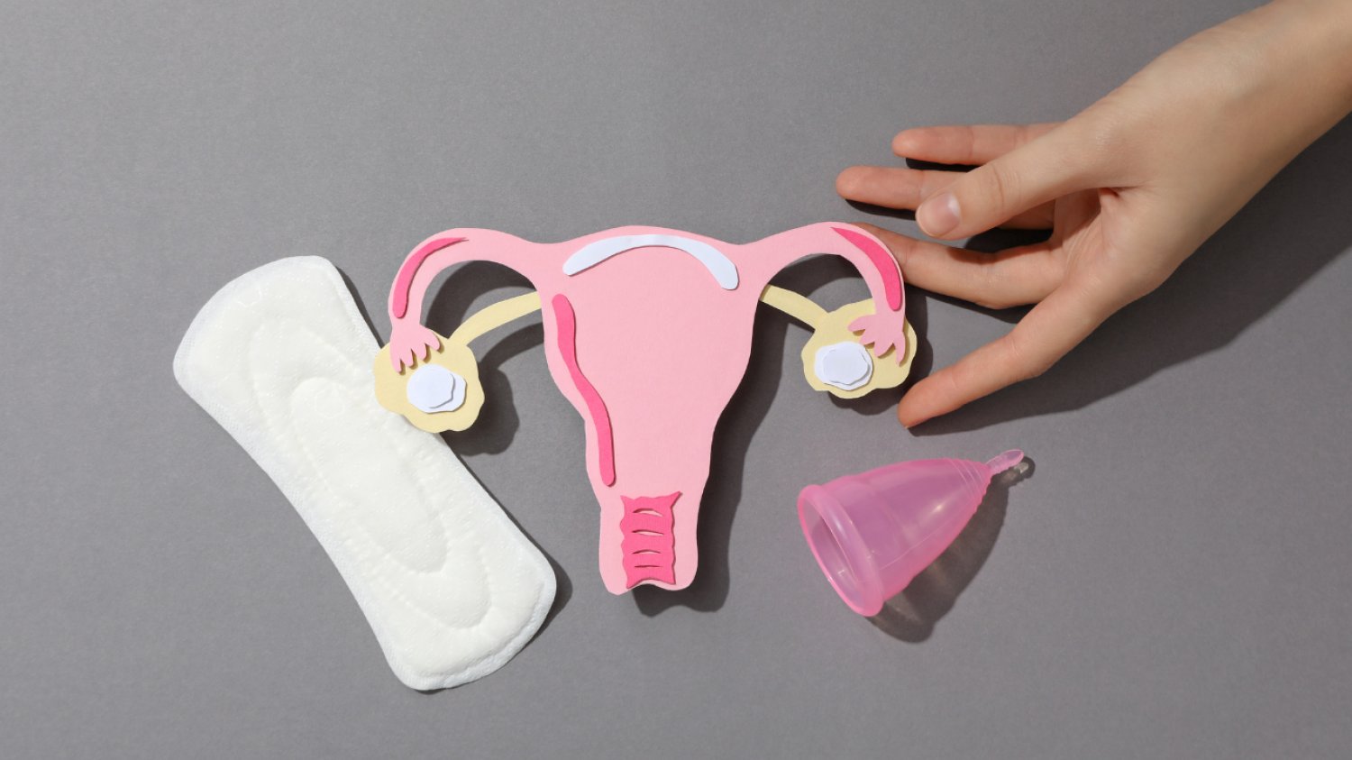 Posłowi PiS nie spodobały się zajęcia z menstruacji w wiejskiej szkole...