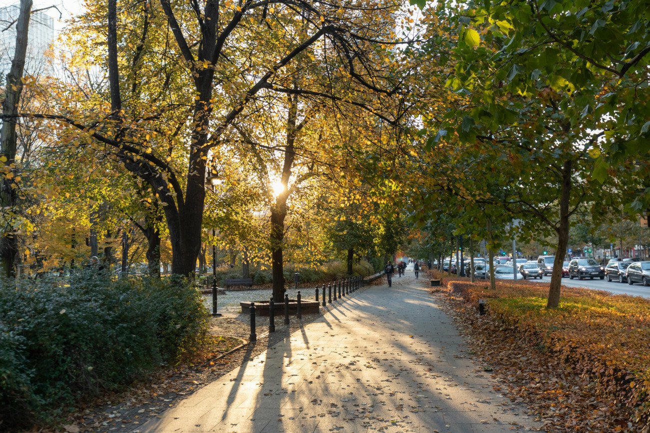 Jaka pogoda w sobotę 30 października? Będzie słonecznie i ciepło [PROGNOZA].