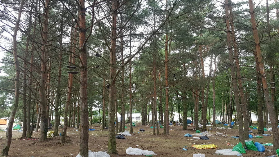 Pol'and'Rock Festival już kolejny raz okazał się wielkim sukcesem frekwencyjnym.