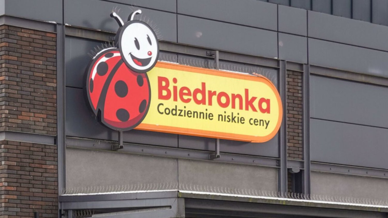 Ta sieć oferuje kilogram dobrej kawy 30 zł taniej. Jest tylko jeden haczyk. Biedronka oferuje taniej dobrą kawę. Można zaoszczędzić 30 zł na kilogramie.
