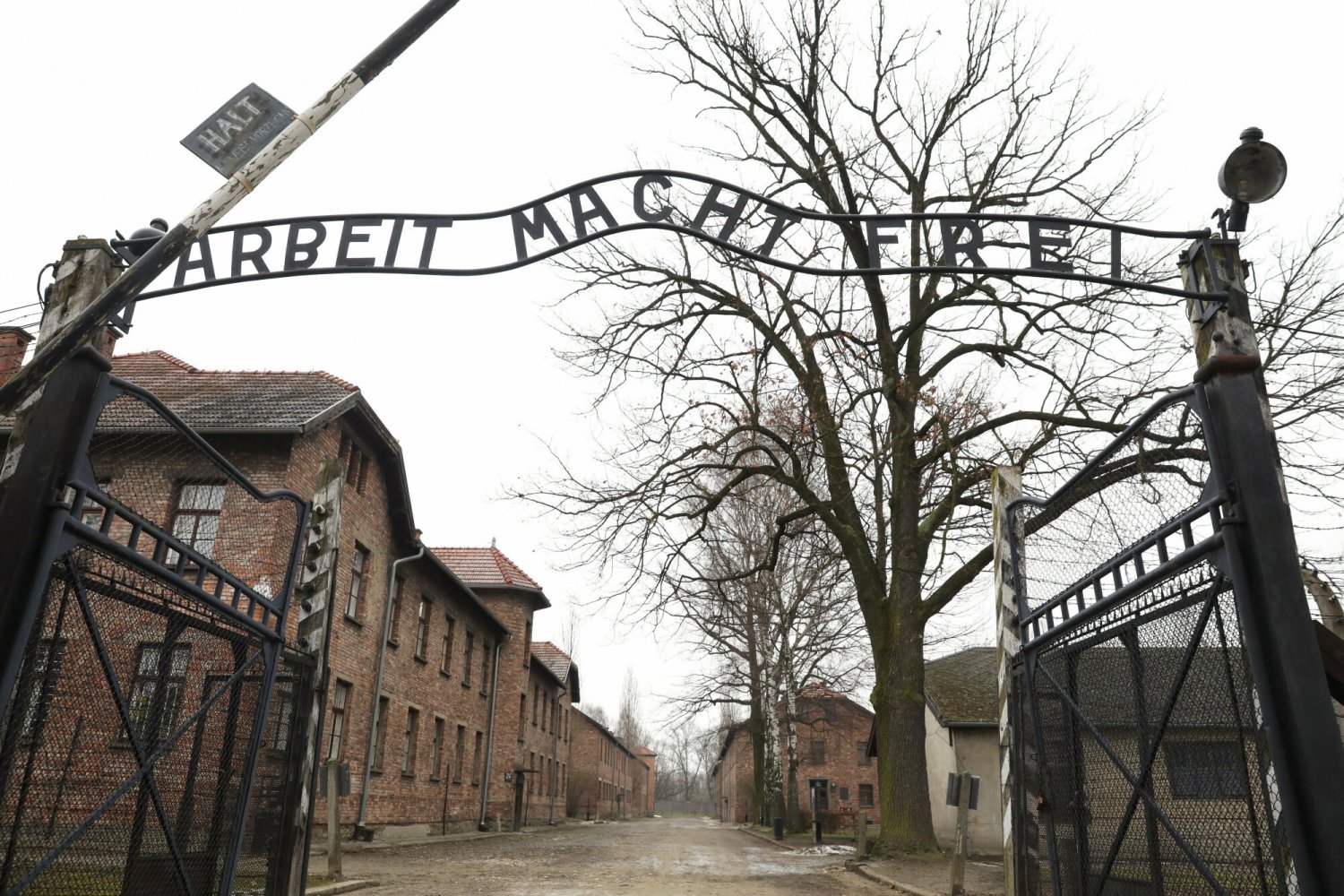 Holenderka otrzymała grzywnę za "hajlowanie" w Muzeum Auschwitz.