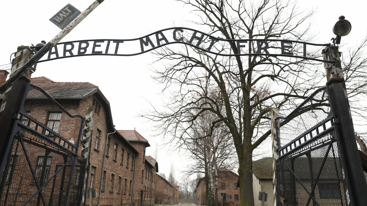 Holenderka otrzymała grzywnę za "hajlowanie" w Muzeum Auschwitz.