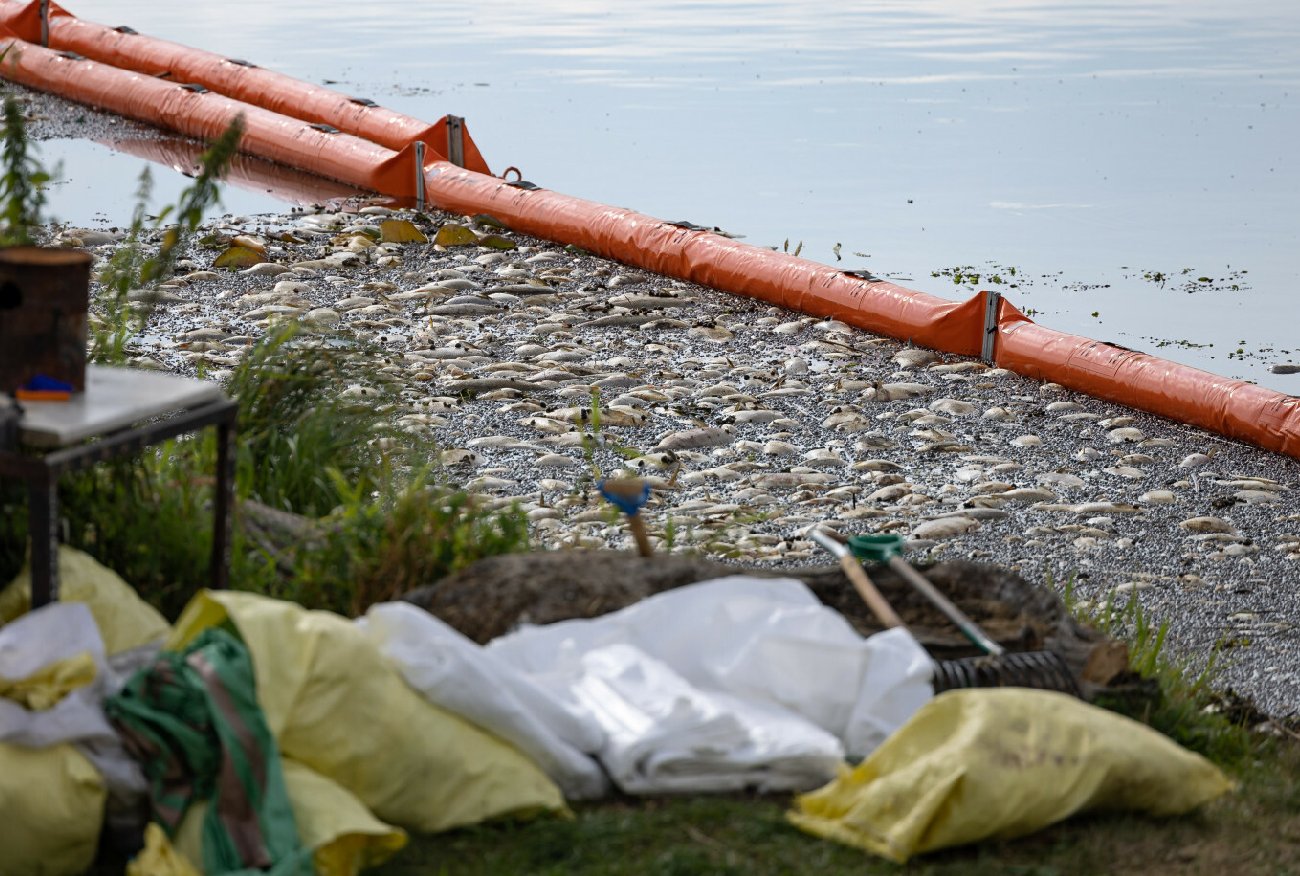 Katastrofa na Odrze może się powtórzyć. Eksperci znów alarmują i skarżą się na nowy rząd.