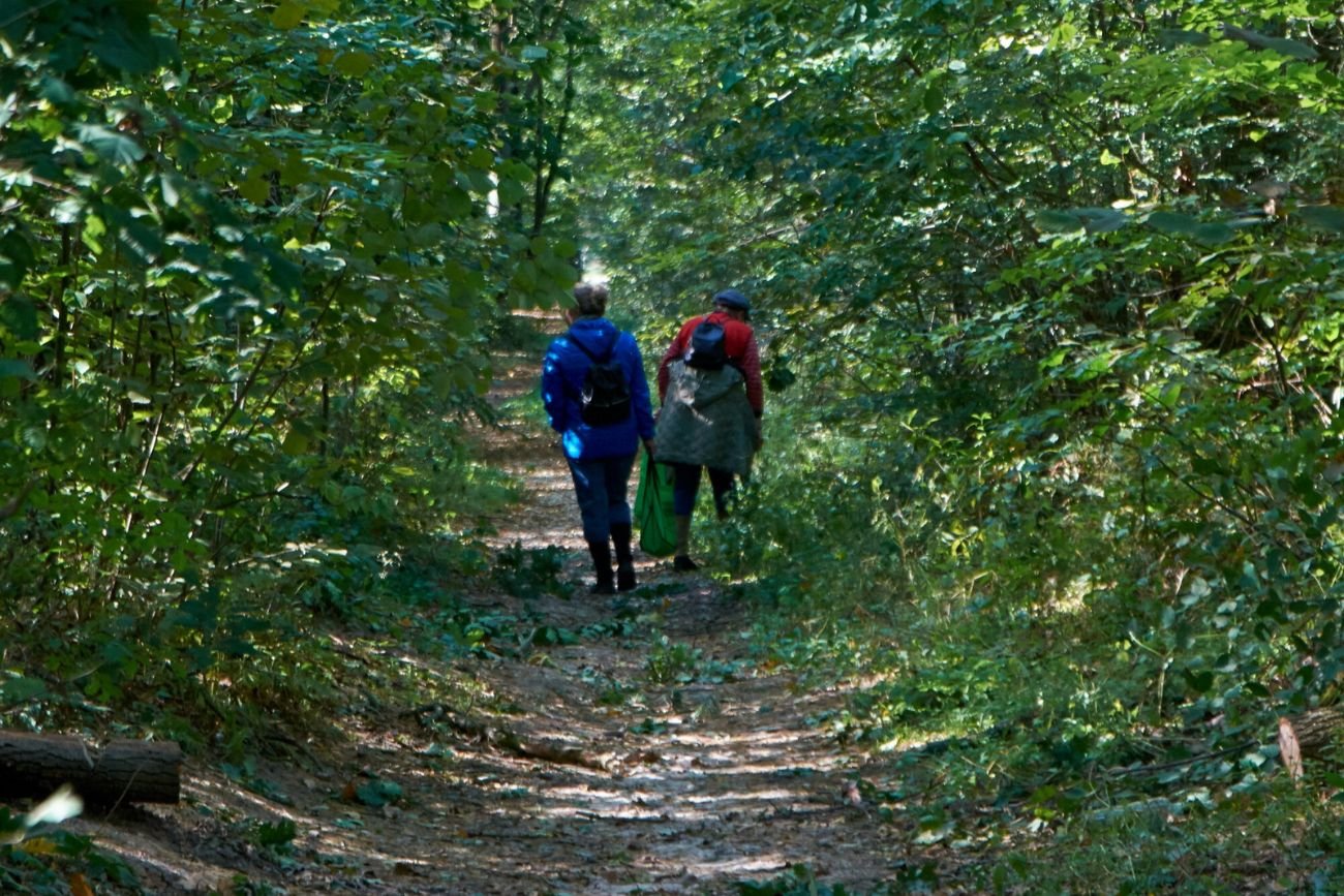 Spacerowicze nie wiedzą, jak cenny rarytas depczą na leśnych ścieżkach