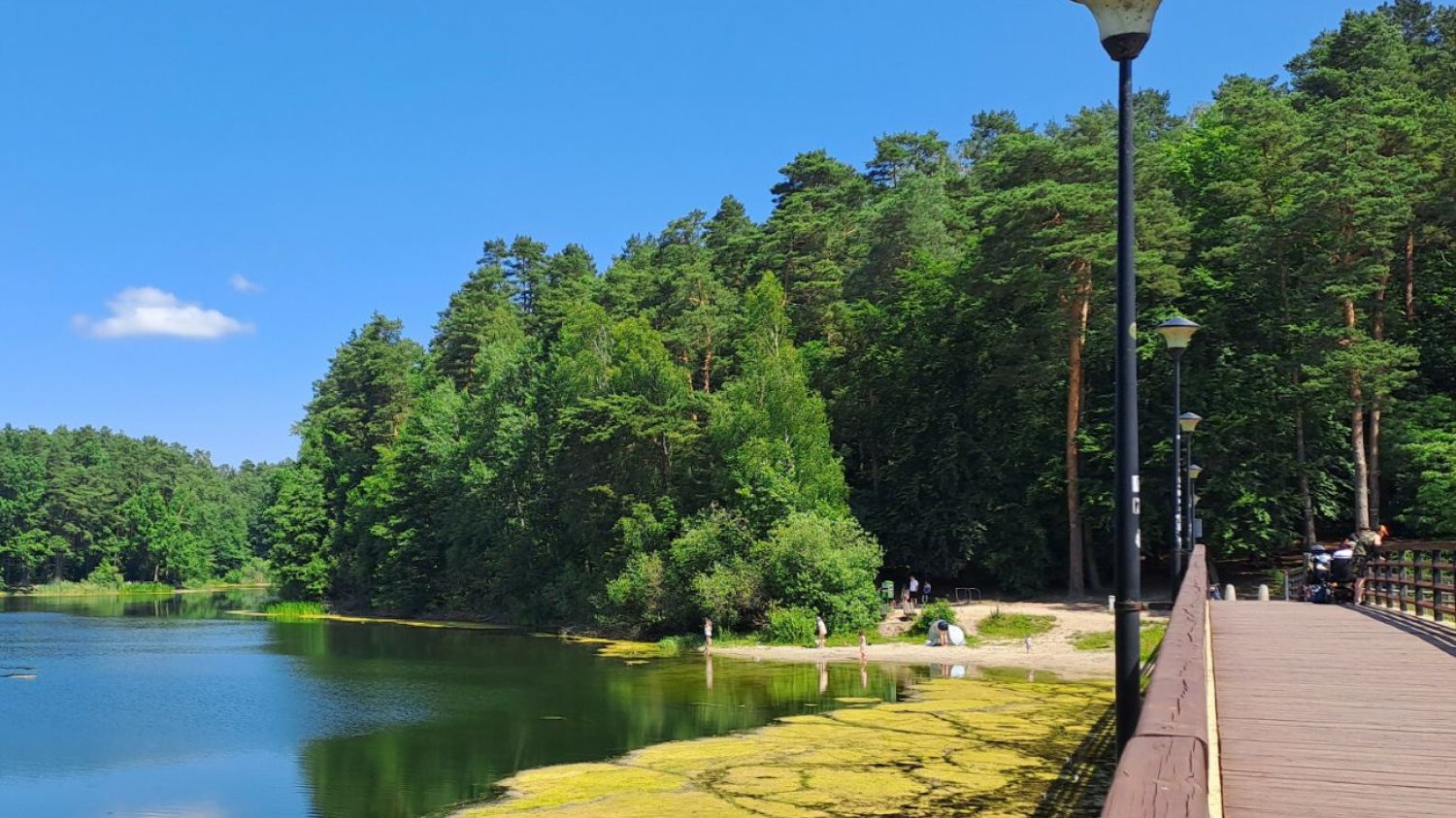 Poruszenie nad Jeziorem Długim w Olsztynie. Dwie kobiety wykąpały się w nim bez żadnego stroju