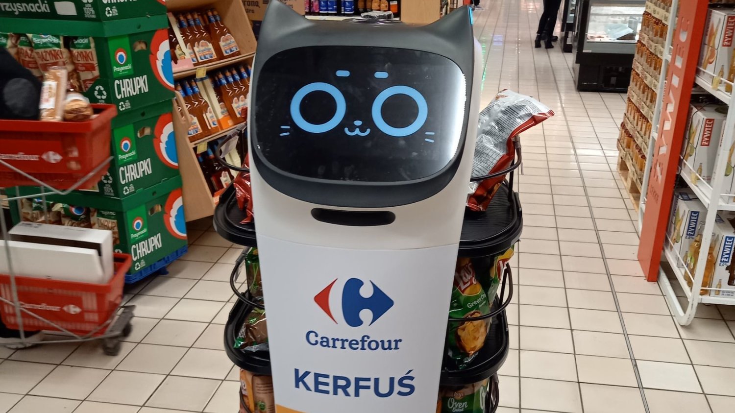 Robot Kerfuś stał się nowym bohaterem memów i... obiektem seksualnym.