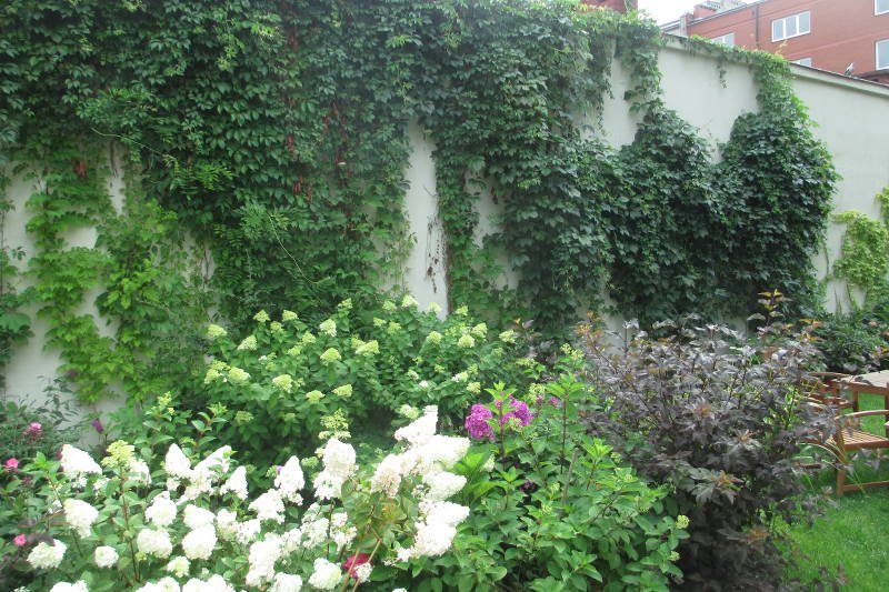 Jedno ze zgłoszonych do konkursu miejsc, Pasta Cafe, na Kamionku