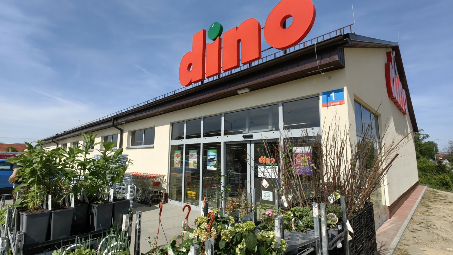 Tuje za 1 zł w Dino. Polacy rzucili się na promocję