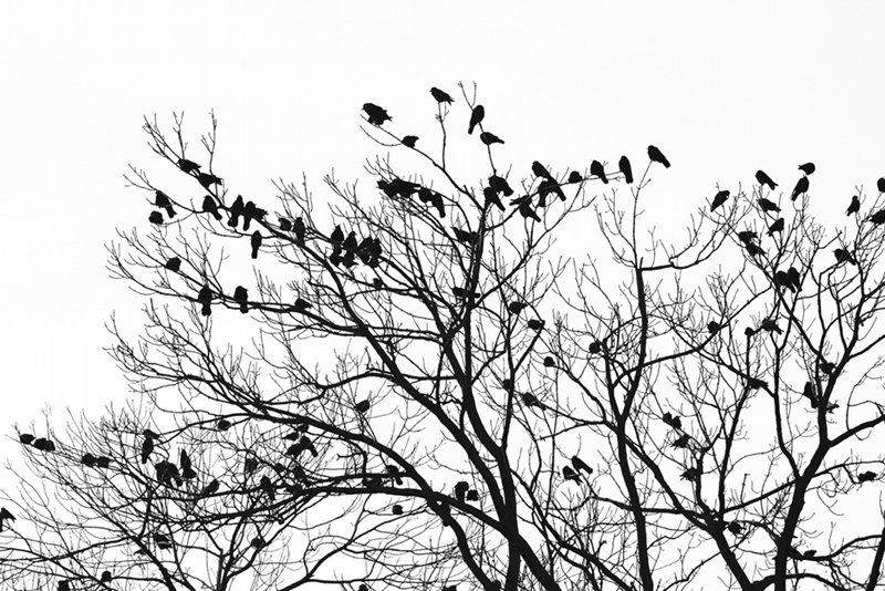 W XXI wieku tradycyjne sposoby przeżywania żałoby zanikają. Na ich miejscu nie pojawiają się nowe formy, które pomogłyby bliskim zmarłego uporać się z bólem i poczuciem straty.