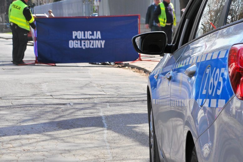 Fotografia jest ilustracją do tekstu.