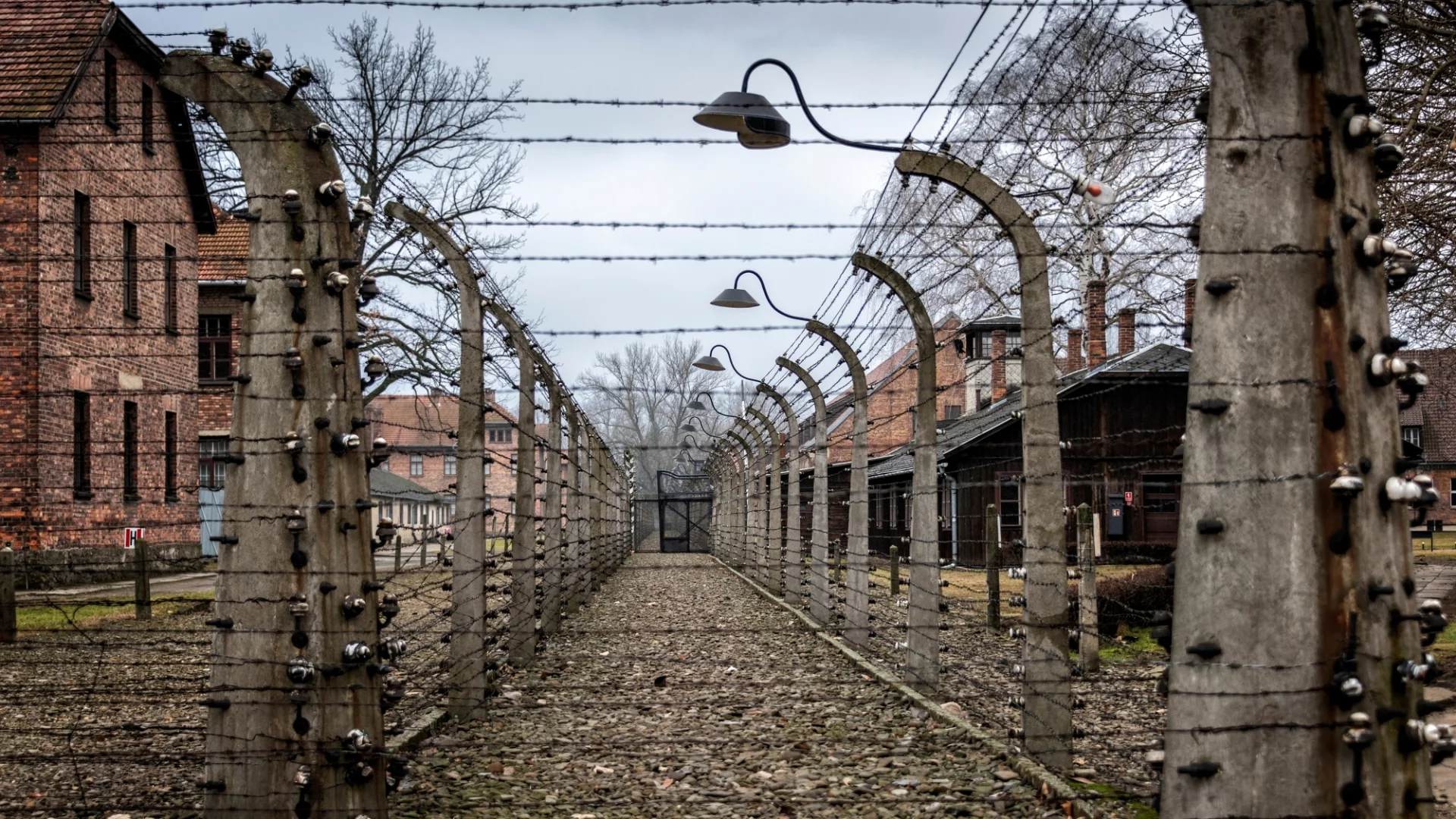 Skandaliczna aukcja z przedmiotami z Holocaustu. Będzie dalszy ciąg sprawy