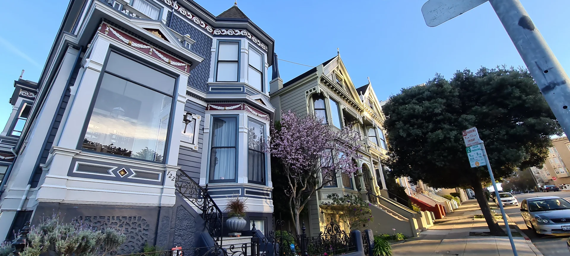 Painted Ladies
