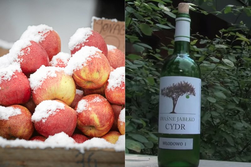 Rosja nałożyła na polskie jabłka embargo, możemy je przerobić na cydr