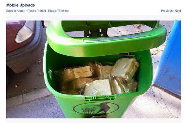 Oto jak imigranci "doceniają" pomoc Węgrów