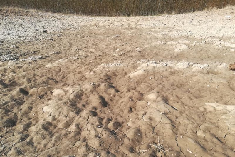 Brak pokrywy śnieżnej spowodował, że woda za szybko odpłynęła.