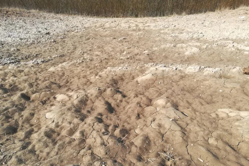 Brak pokrywy śnieżnej spowodował, że woda za szybko odpłynęła.