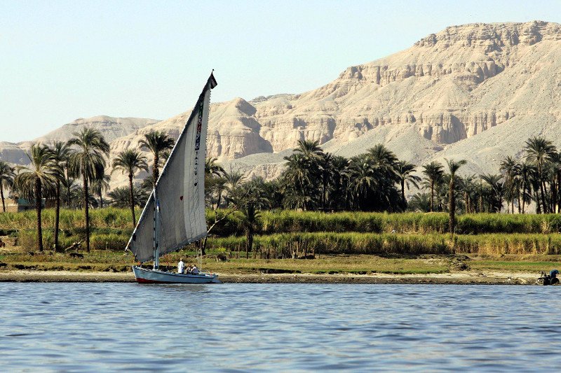 Jak nie przywieźć niechcianych pamiątek z wakacji. Czyli ciesz się kolekcją muszelek, a nie chorób
