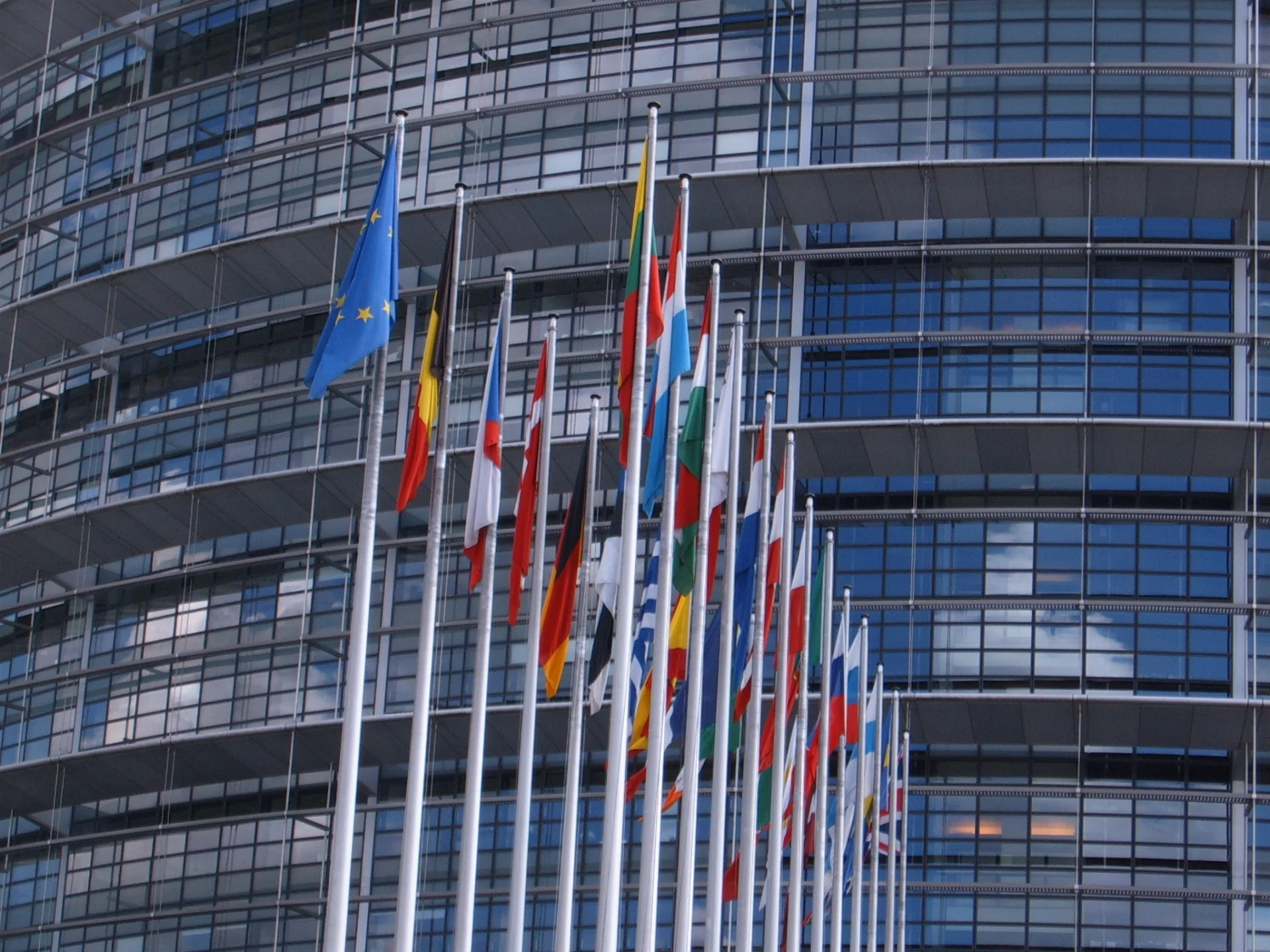 Wolne Konopie do Parlamentu Europejskiego!