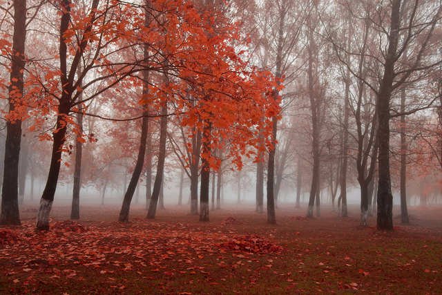 Jest wiele sposobów na radzenie sobie z [url=http://www.shutterstock.com/pic-152288969/stock-photo-autumn-park.html?src=XKTpJotjTGY7O3CzkH0lqg-4-8]brakiem słońca[/url] jesienią i zimą.