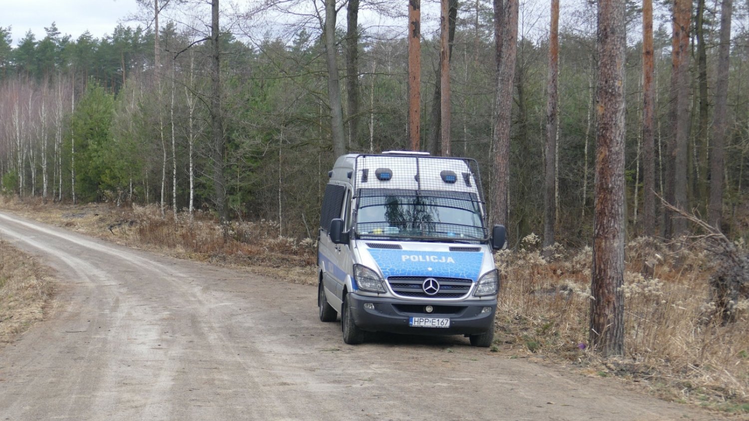 Policja przy pracy. Zdjęcie ilustracyjne.