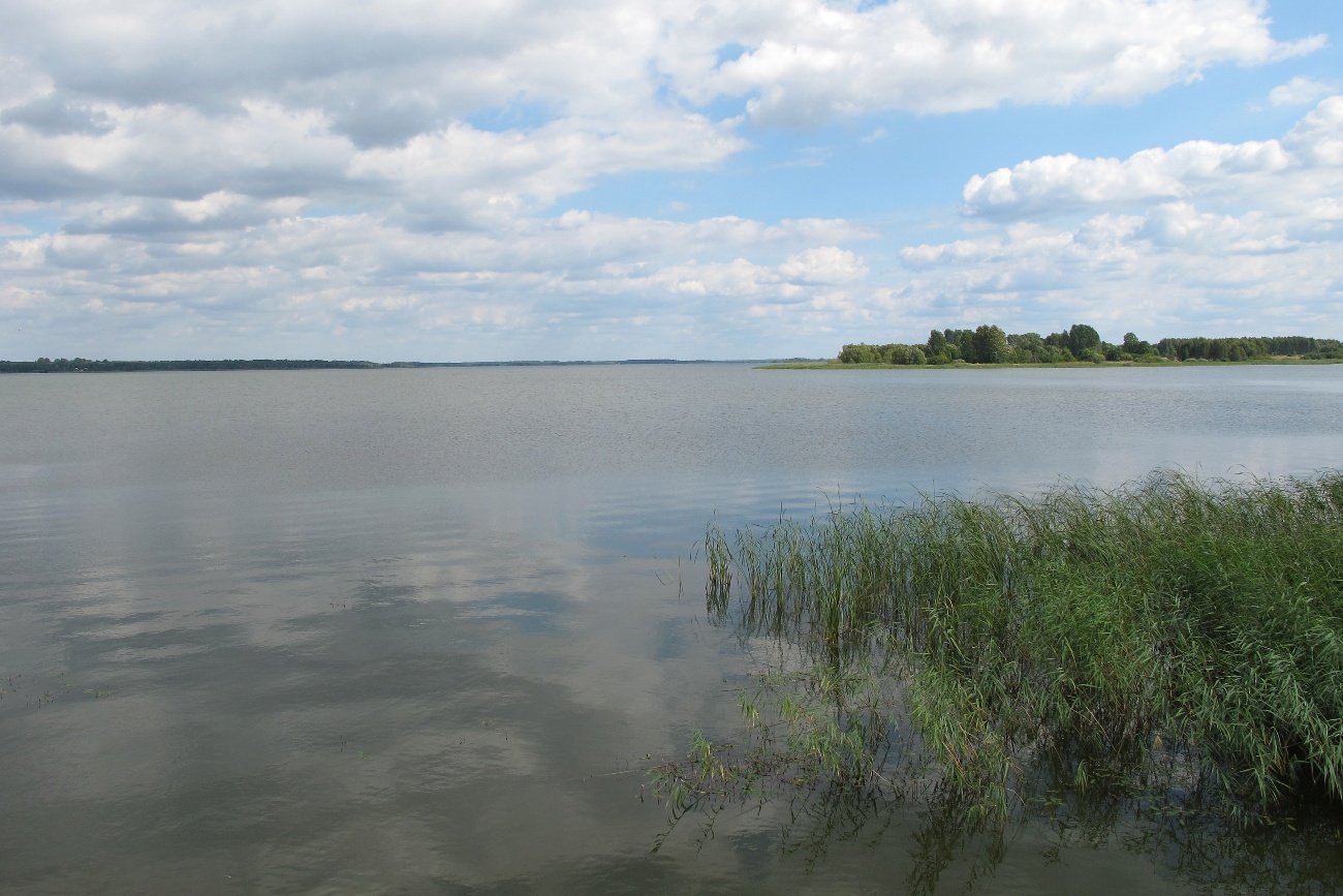 Rozmawiamy z p. Anatolem, sparaliżowanym podopiecznym hospicjum domowego Fundacji Hospicjum Proroka Eliasza, które pomaga nie tylko godnie odejść, ale także leczyć