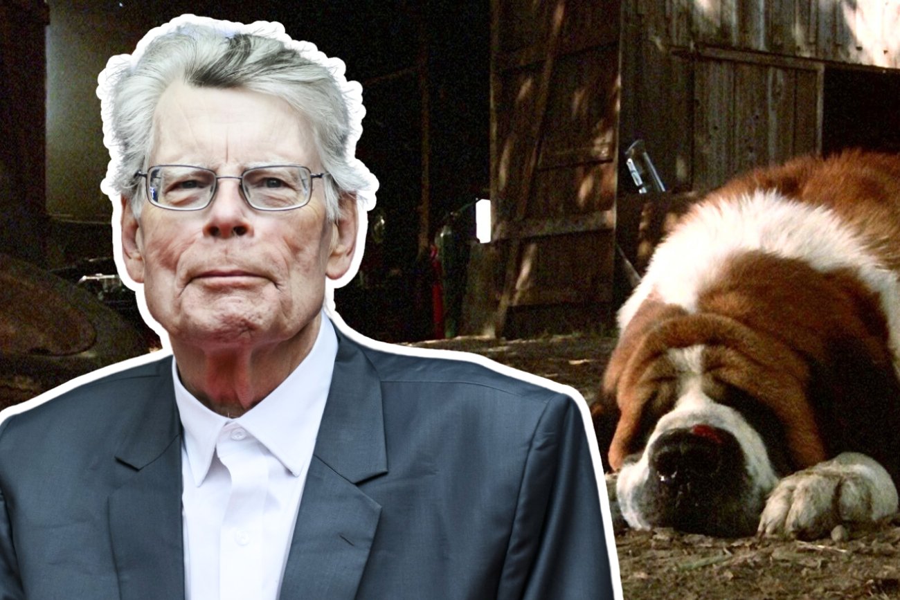 Netflix nakręci film na podstawie książki Stephena Kinga. Chodzi o "Cujo"