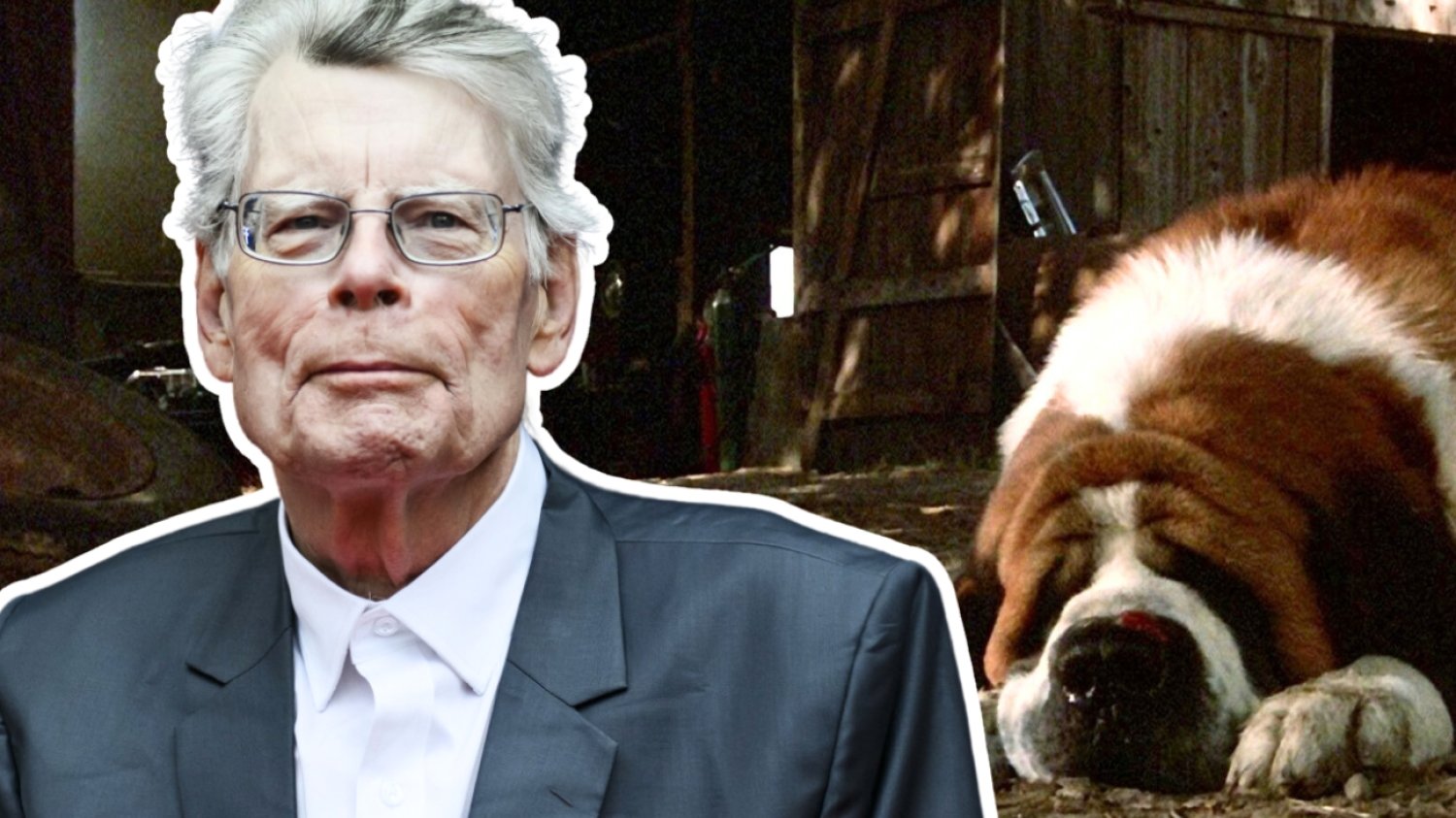 Netflix zabiera się za Stephena Kinga. Dostaniemy ekranizację tego kultowego horroru Netflix nakręci film na podstawie książki Stephena Kinga. Chodzi o "Cujo"