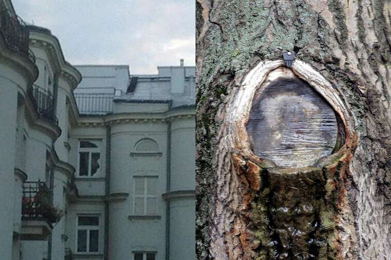 Skąd biorą się informacje o kolejnych lokalnych objawieniach, sylwetkach świętych i twarzach zmarłych osób?