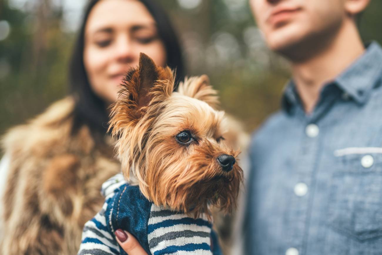 Takie było bykowe. Podatek dla singli już działał w Polsce