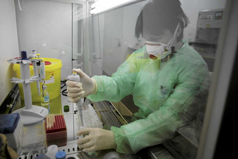 W laboratorium w Gdańsku badano w 2010 roku próbki na obecność świńskiej grypy.