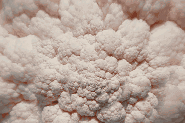 Brokuł - obiekt pożądania. Ten artysta zmienia oblicze zwyczajnych obiektów