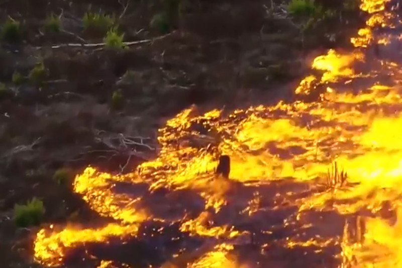 Pożary w Amazonii i na Syberii to nie jest lokalny problem. Lasy w Ameryce Południowej generuje jedną piątą tlenu na świecie.