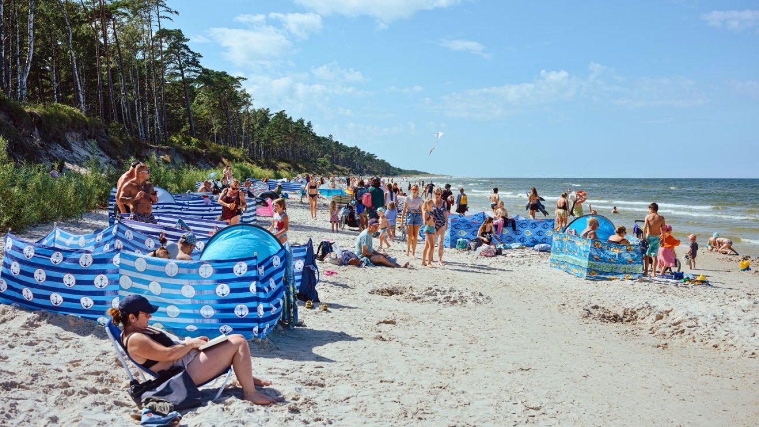 Plaża nad Bałtykiem pełna parawanów
