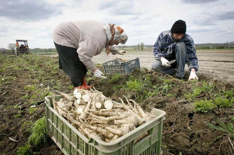 Ludzie w miastach żyją dłużej i umierają rzadziej niż ci poza terenami zurbanizowanymi