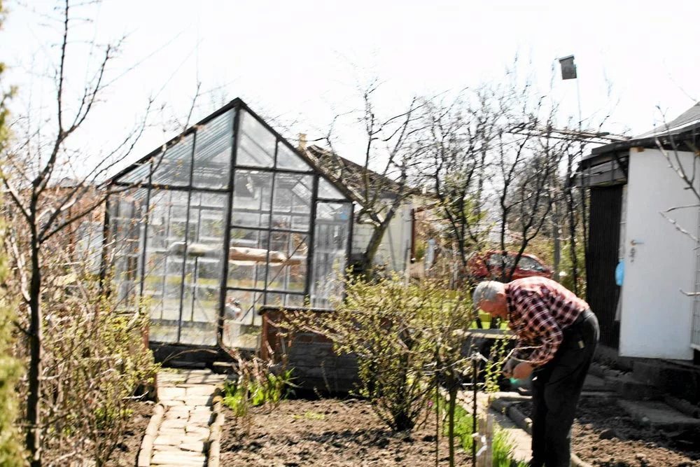 Ogrody działkowe
