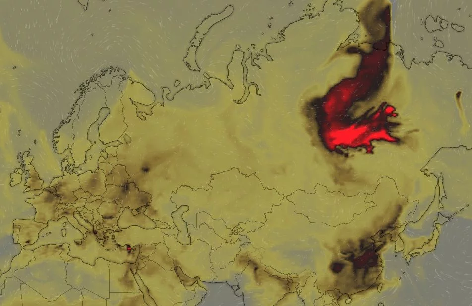Mapa ukazuje rozmiar pożarów w Rosji.