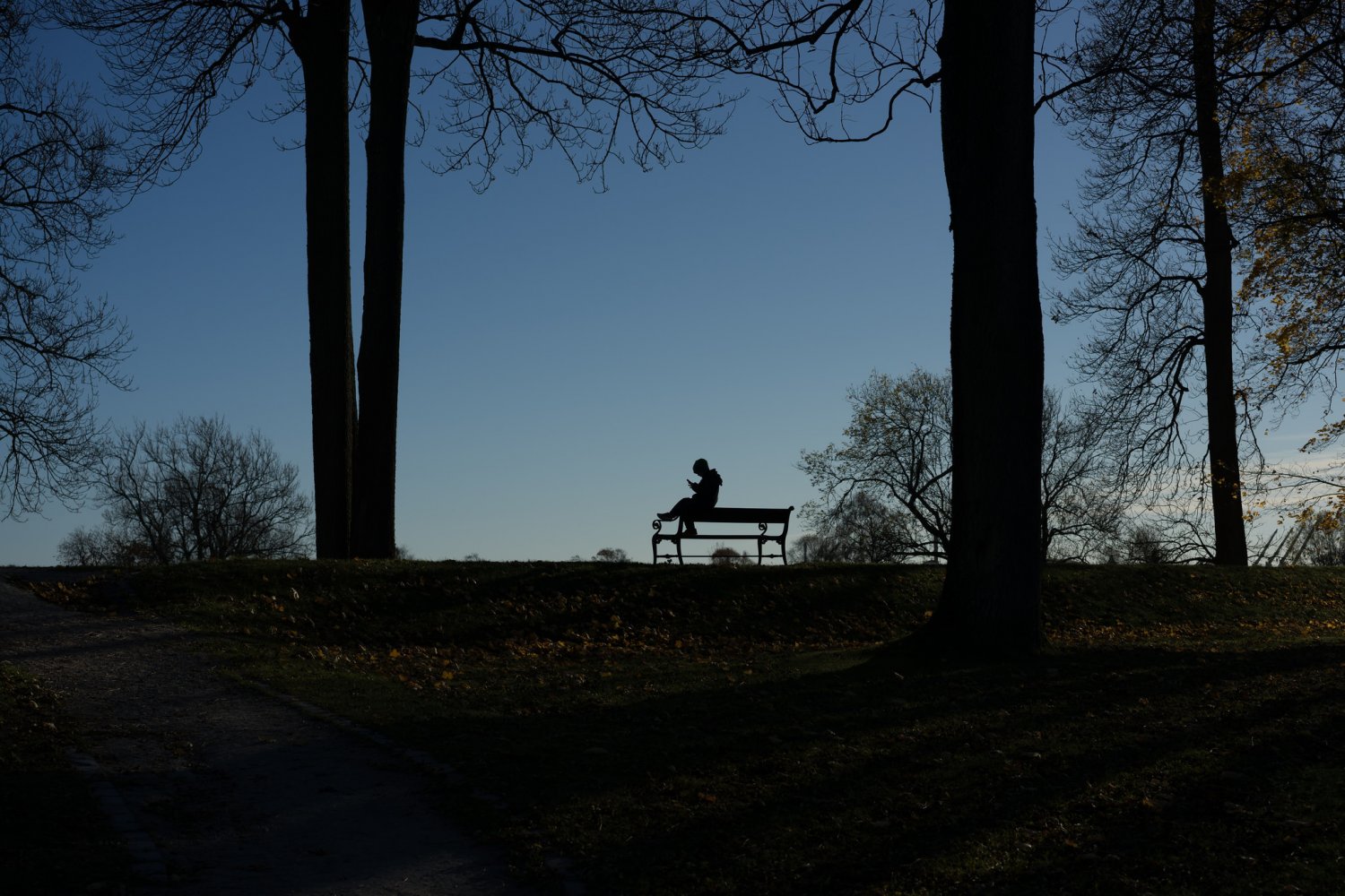 W lipcu zeszłego roku w Pokémon Go grało 30 mln osób. W grudniu już tylko 5 mln. Fot. Roar A G Magnussen / [url=https://tinyurl.com/yczjz8aa]Flickr[/url]  / [url=https://tinyurl.com/p4devpc]CC BY 2.0[/url]