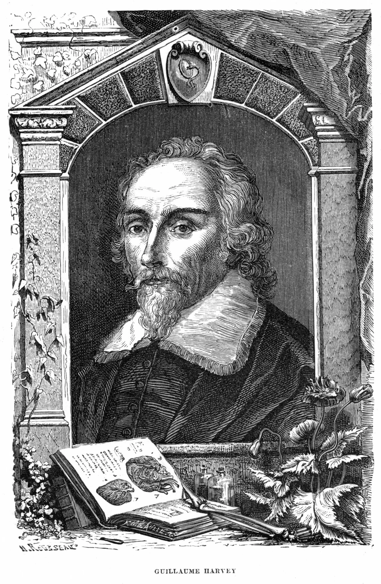 William Harvey