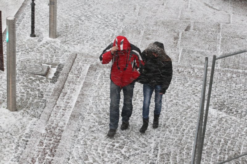 Zima trzydziestolecia została wyśmiana przez szwajcarskich naukowców.