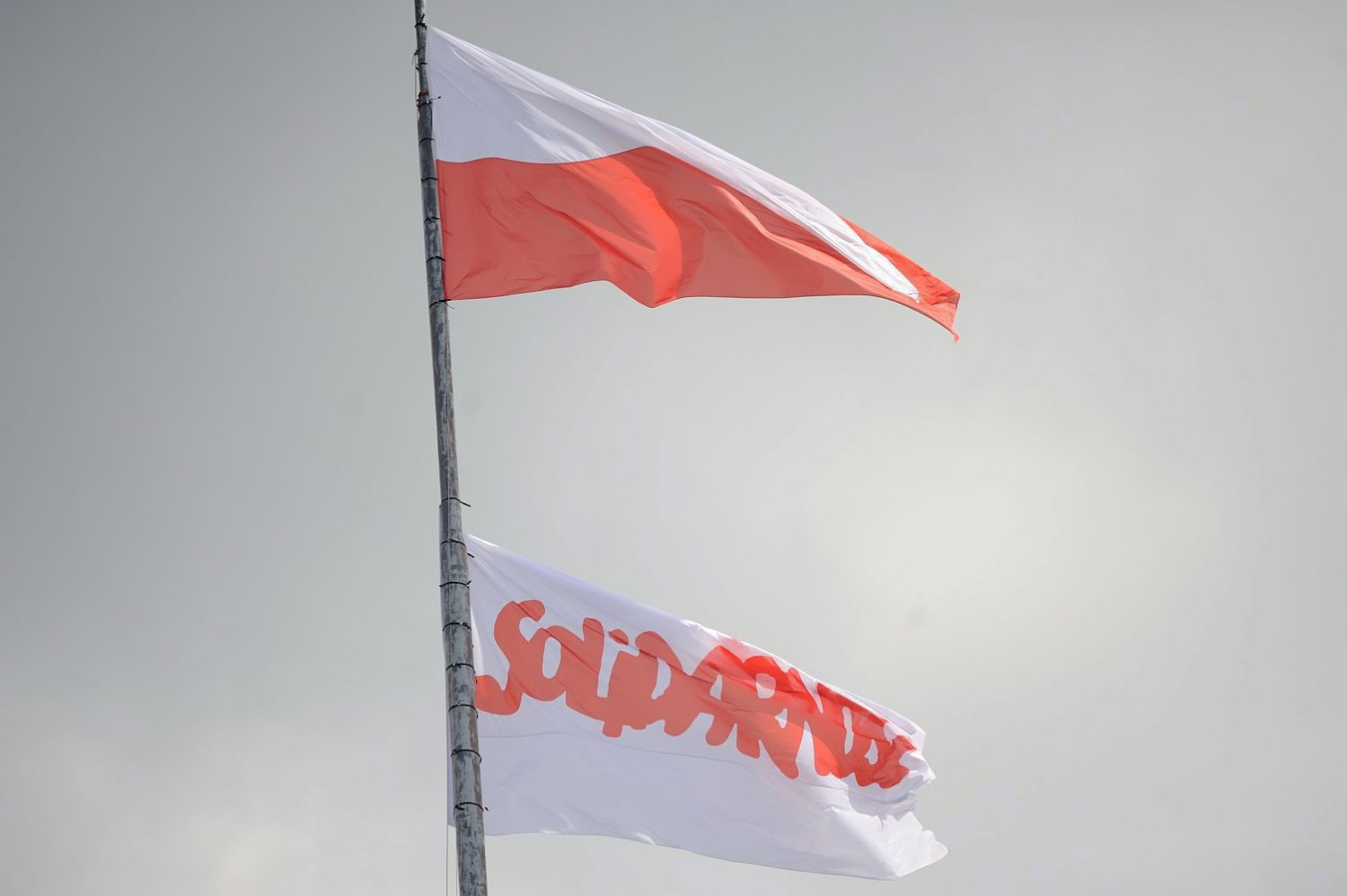 Tomasz Lis: Nasze DNA