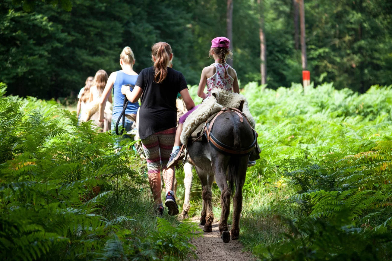 Wędrówka na osiołku to jedna z atrakcji oferowanych turystom w powiecie Uckermark w Rezerwacie Biosfery UNESCO Schorfheide-Chorin