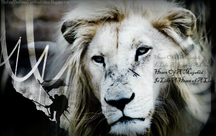 Lew - nieodłączny symbol męskości i odwagi dżihadystów udających się do Syrii.