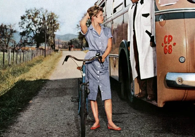 Nie gdzie indziej, jak w Prowansji rozgrywa się akcja kultowego filmu z Brigitte Bardot z 1956 roku – „I Bóg stworzył kobietę”