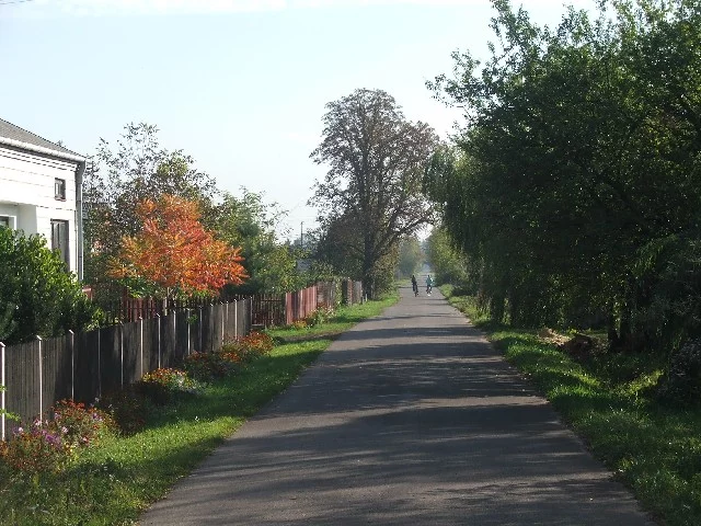 Wieś Wężyki w woj. mazowieckim