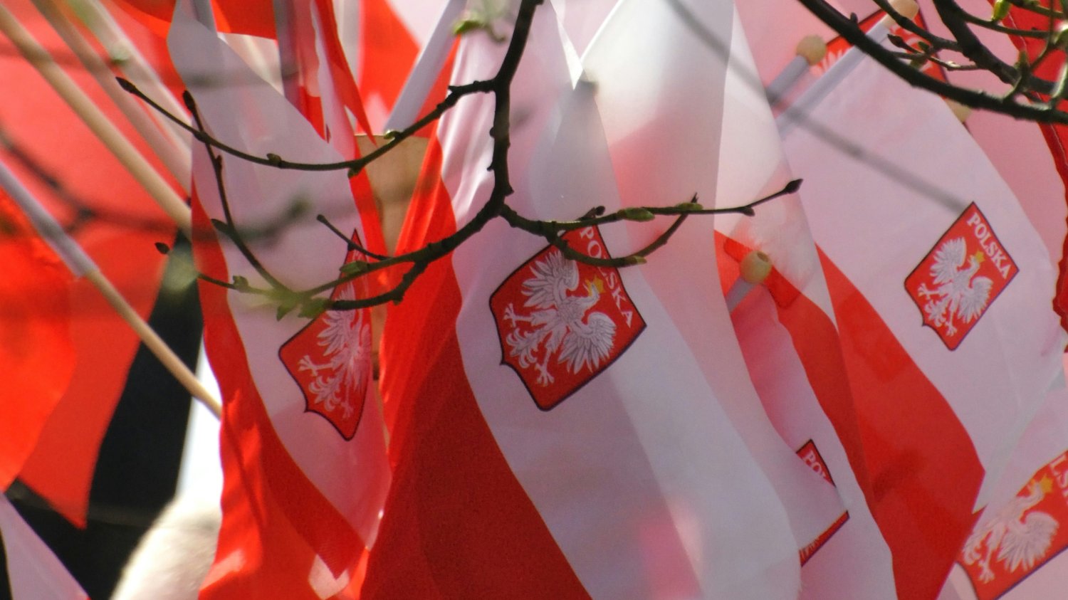 Polska flaga